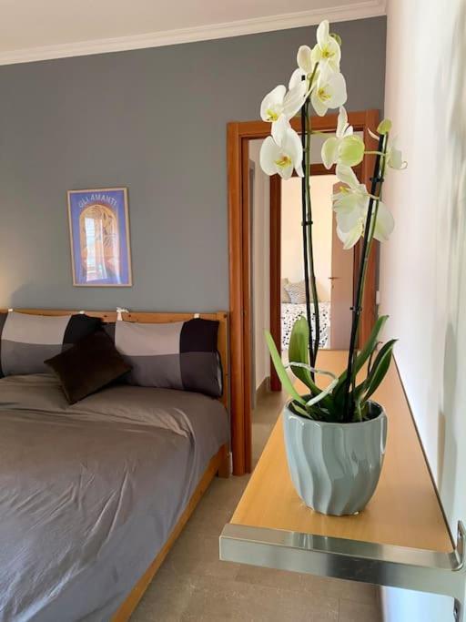 Apartamento A Casa Di Tina Genzano di Roma Exterior foto