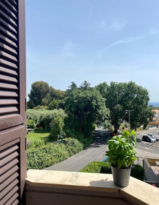 Apartamento A Casa Di Tina Genzano di Roma Exterior foto